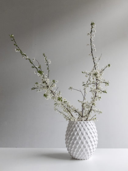 Photograph with flowers of 3d print parametric vase design